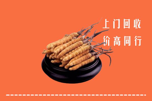 高价求购：绛市回收散虫草