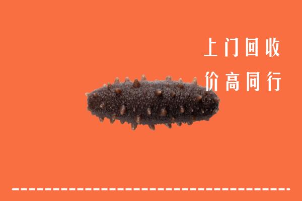 高价求购：绛市回收海参