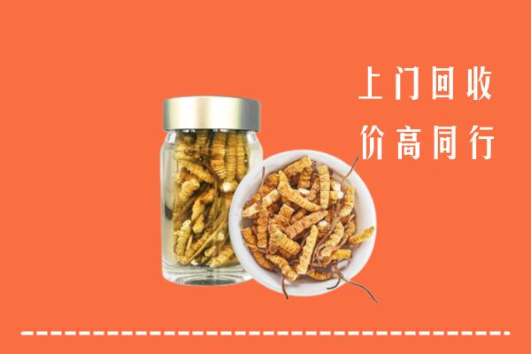 绛市回收冬虫夏草