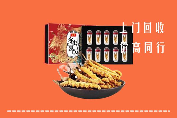 绛市回收虫草
